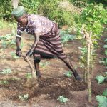 Agriculture