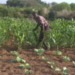 Climate Adaptation and mitigation