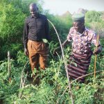 Food Security and Livelihoods